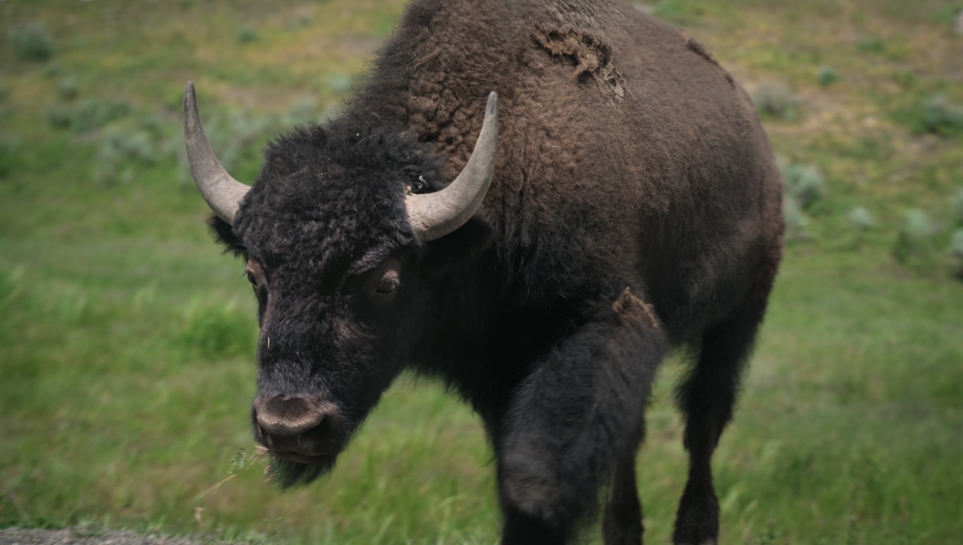 Wyoming